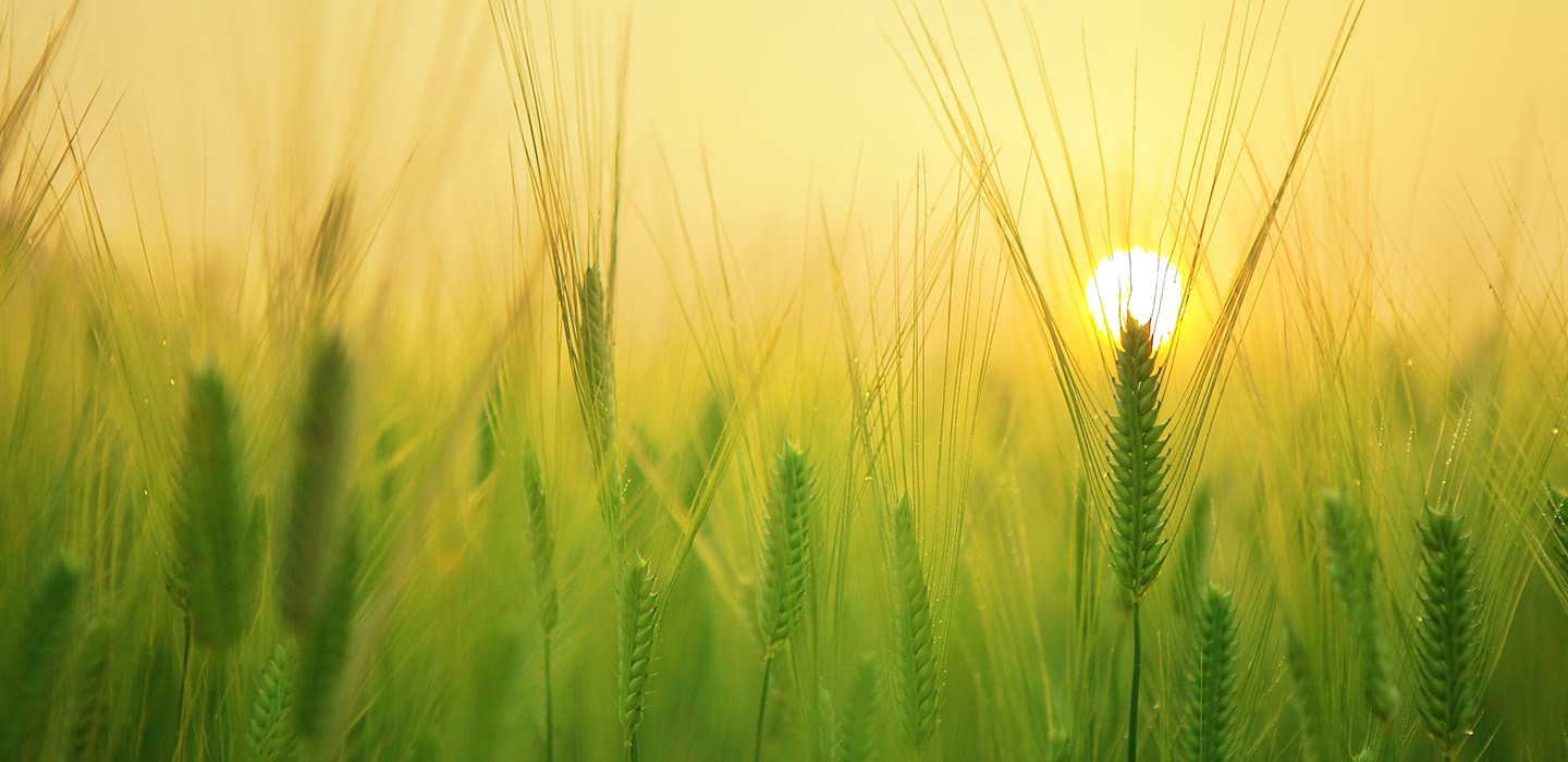 Conditions de fonctionnement de compte 2024-2025