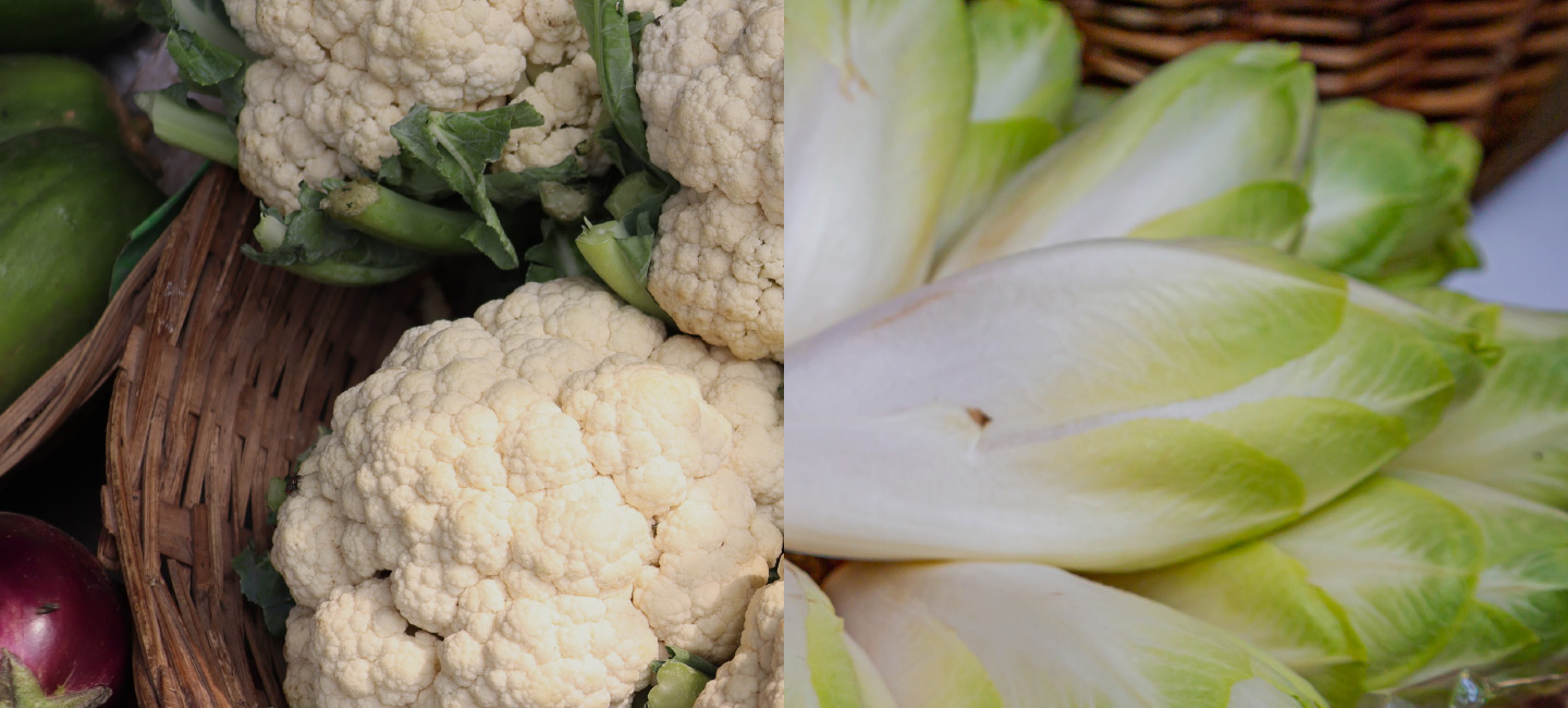 Saint-Pol-de-L&eacute;on | Gonnehem