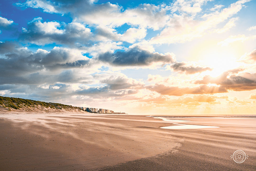 Conditions tarifaires 2024