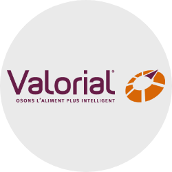 logo Valorial
